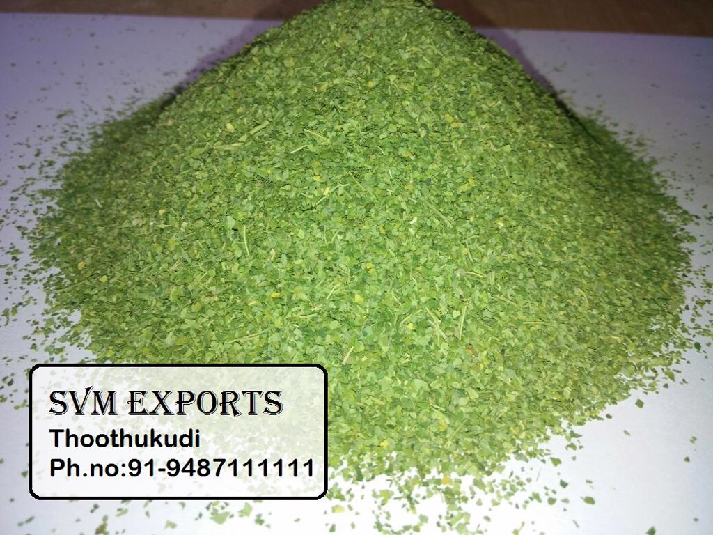 Product image - Our SVM Exports made high quality moringa  T CUT leaves from  First grade moringa leaves  under superior observation with  advanced machineries.  It is loaded with nutrients, antioxidants and healthy proteins. 
Mesh Size : 40, 60, 
Available Packing
100g Loose Leaves / Pouch Pack / Tea Bags                                                                                                                                 